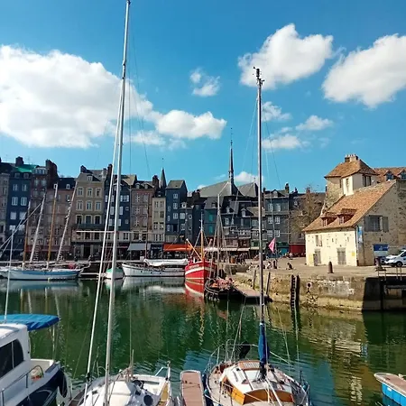 公寓 Elegant Avec Balcon A 5 Min De Honfleur Parking Et Piscine *